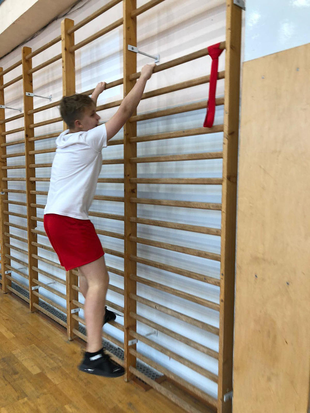 WŁÓŻ SPORTOWE GACIE
