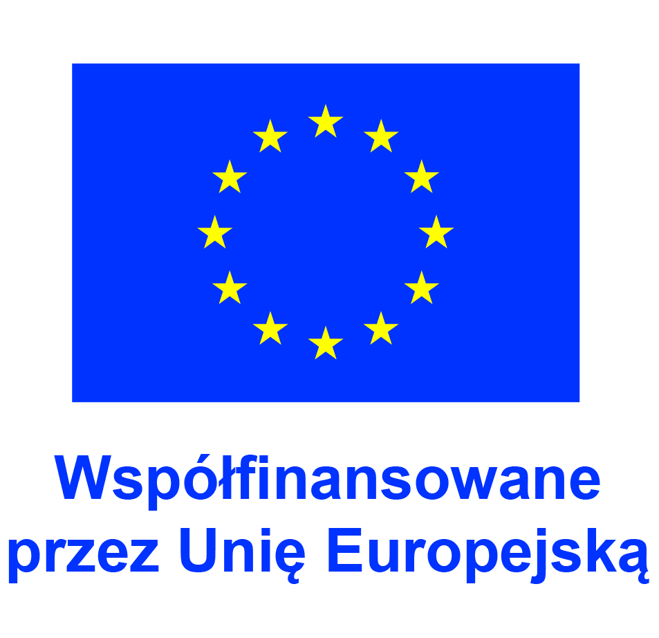 PRACE NAD MIĘDZYNARODOWYM PROJEKTEM 
