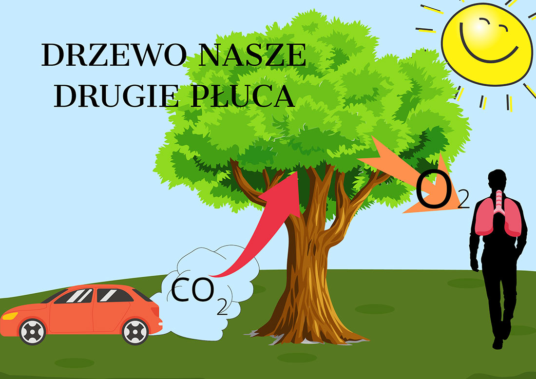 PRZED NAMI POLKOWICKI DZIEŃ DRZEWA