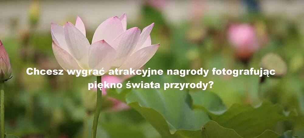 ŻYJMY ZDROWO