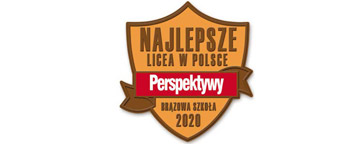 Brązowa szkoła