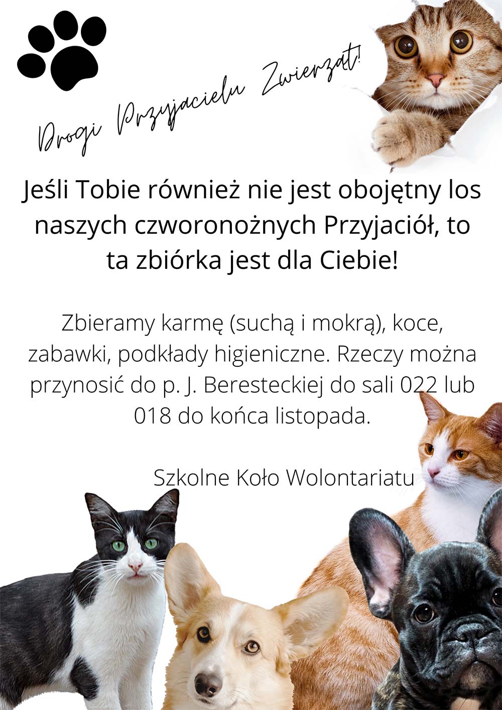 SREBRNA MUZA