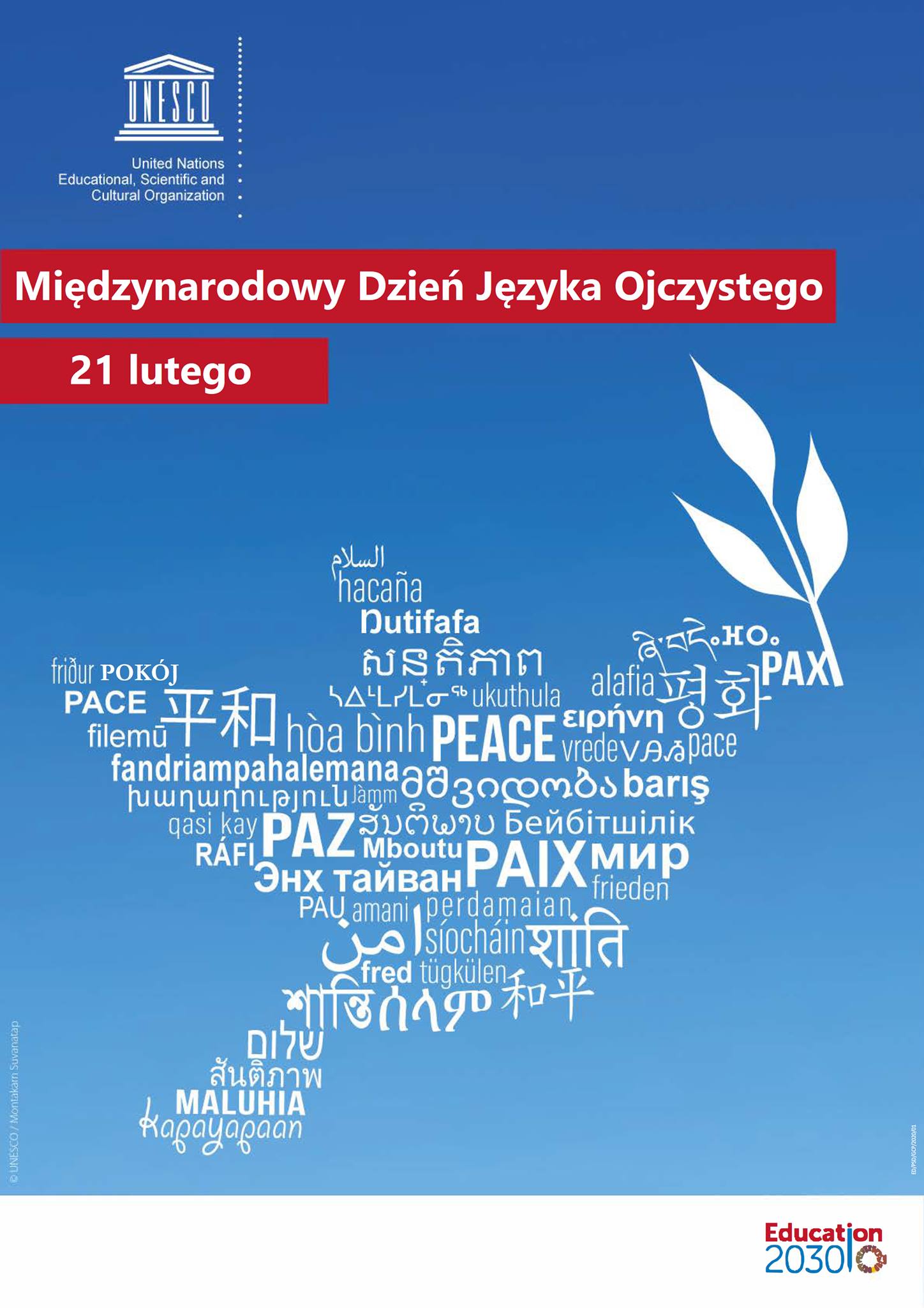 dzien6.jpg