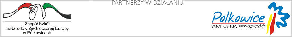 partnerzy