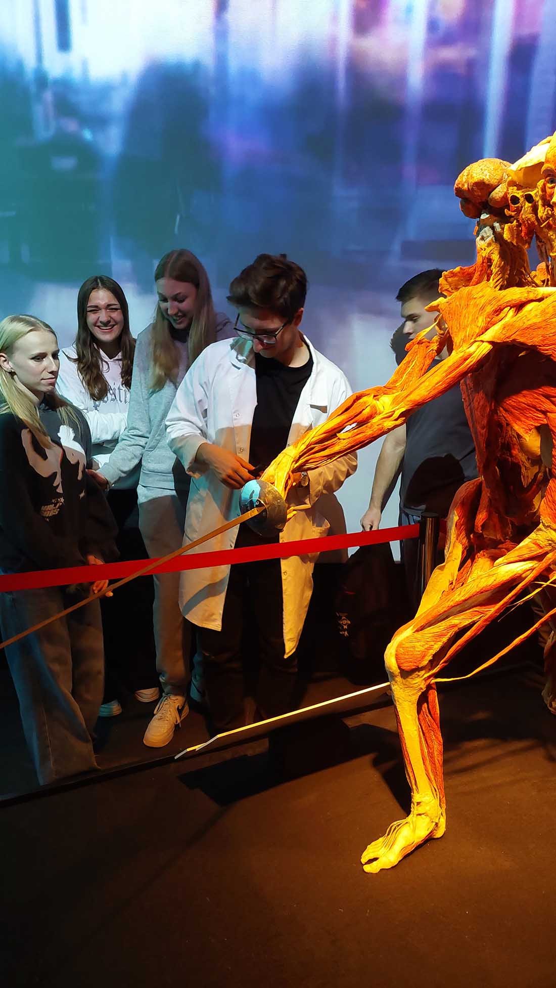 LEKCJA ANATOMII